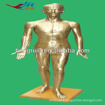 ISO HR-501A Human Acupuncture Model(Bronze) 178CM, Acupuncture model